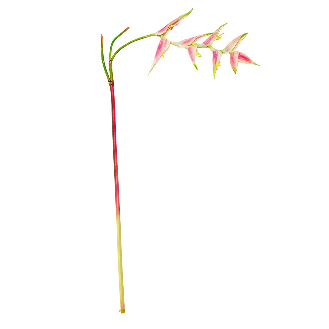 Tropical Heliconia Faux Stem