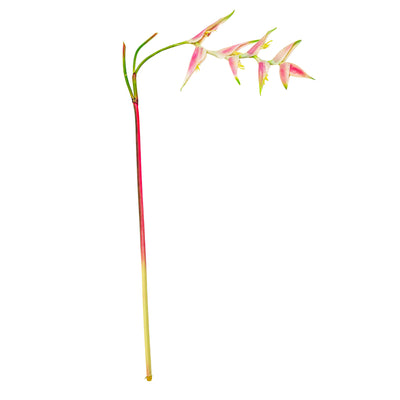 Tropical Heliconia Faux Stem