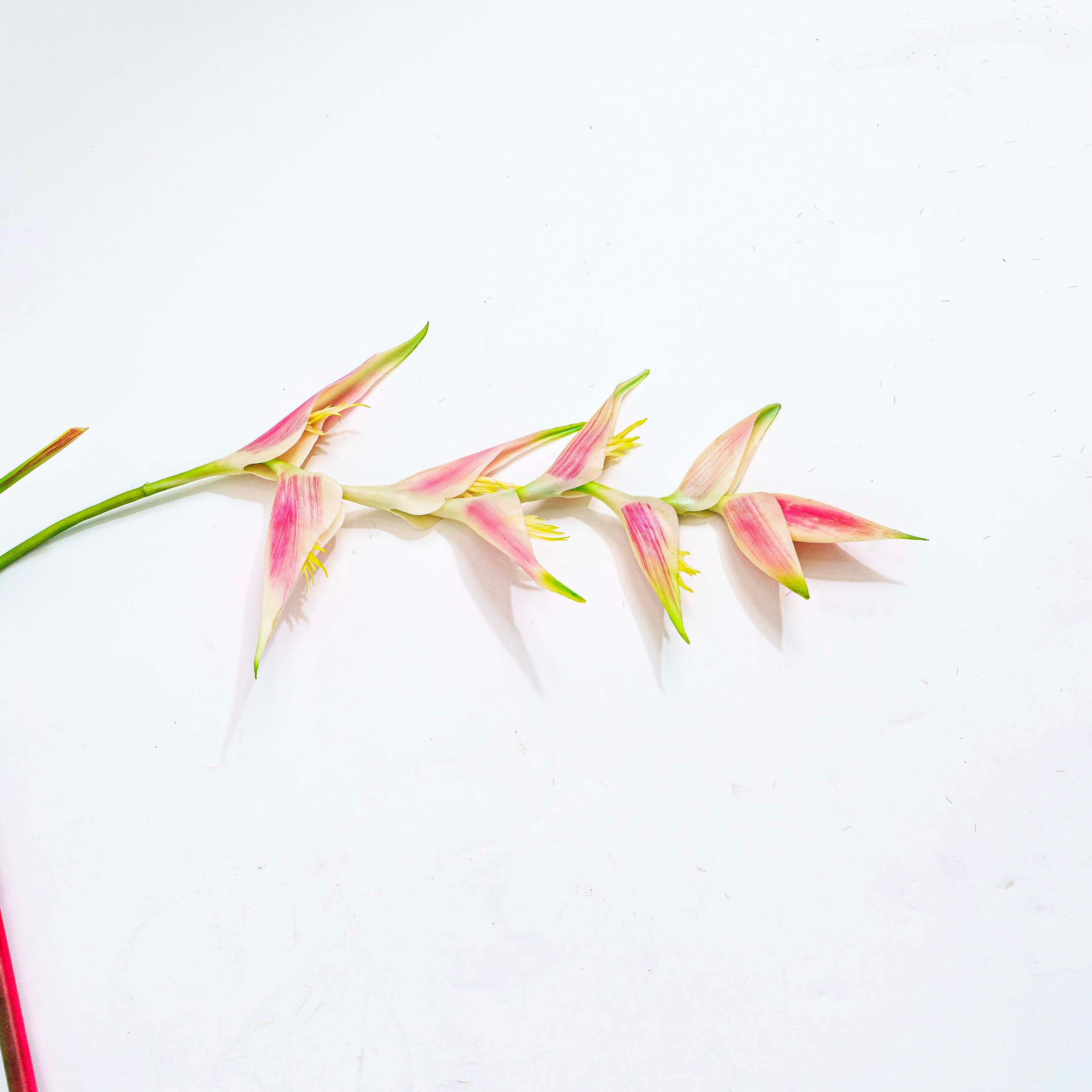 Tropical Heliconia Faux Stem