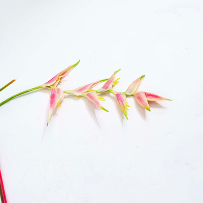 Tropical Heliconia Faux Stem