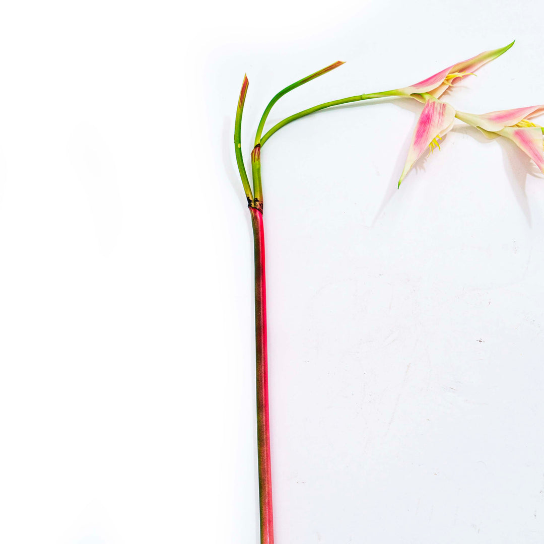 Tropical Heliconia Faux Stem