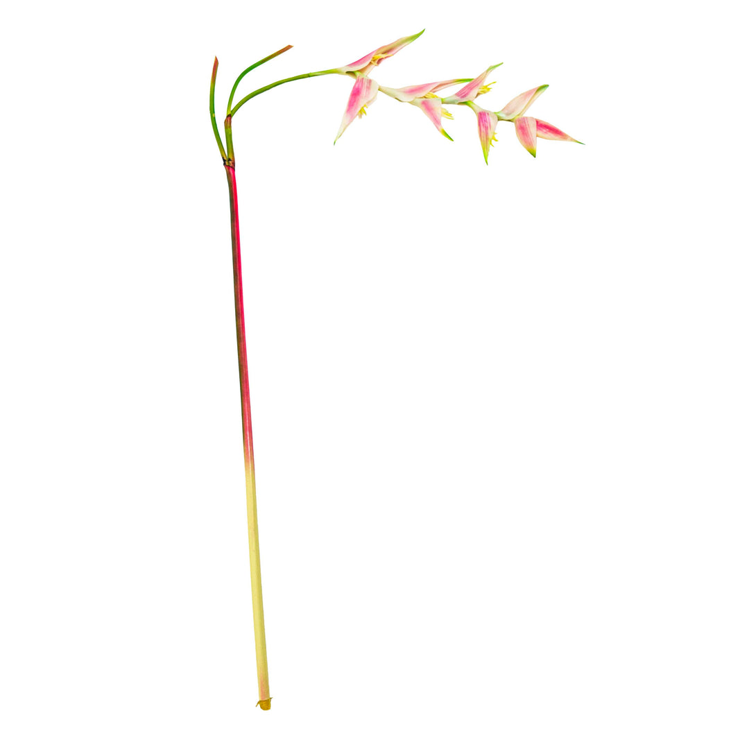 Tropical Heliconia Faux Stem