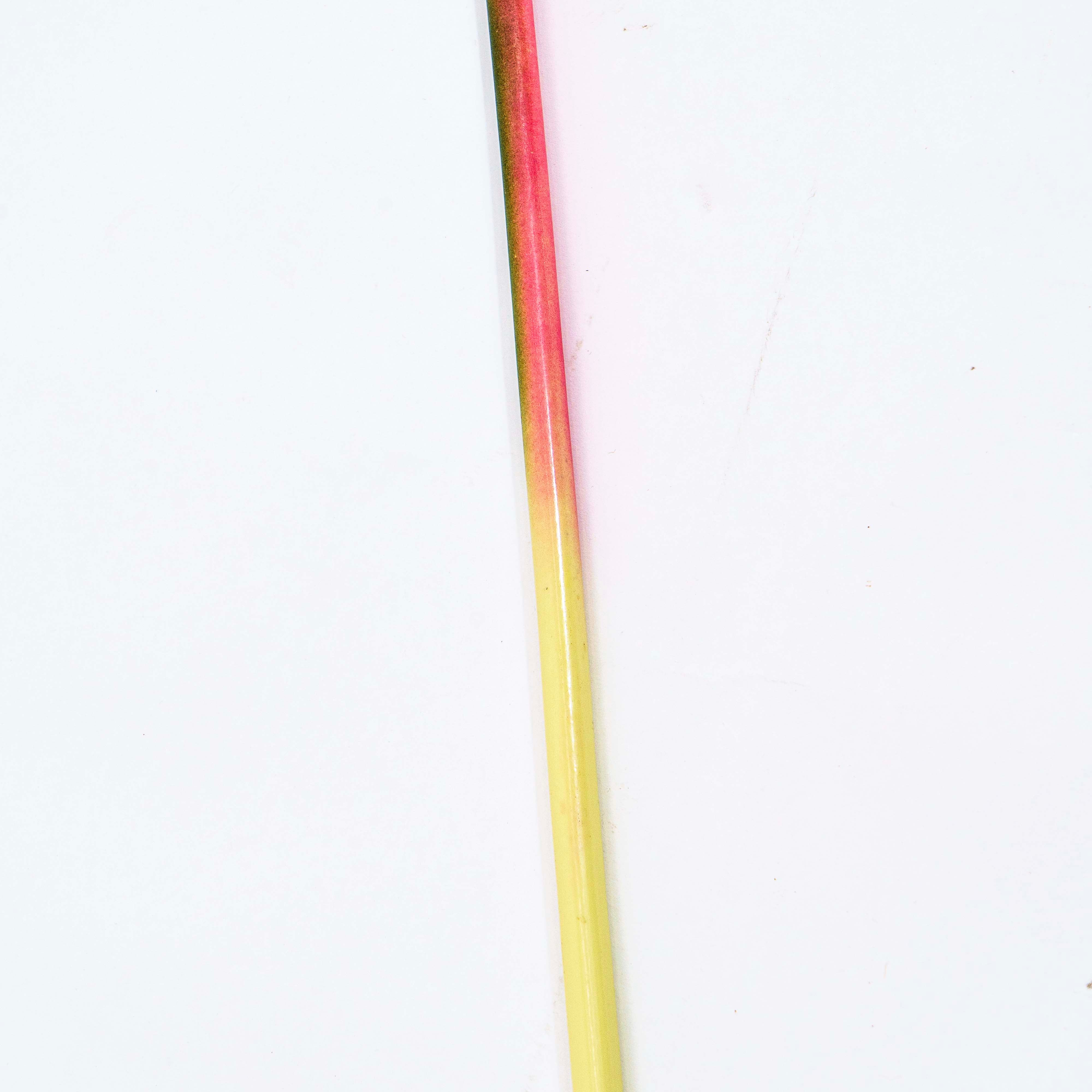 Tropical Heliconia Faux Stem