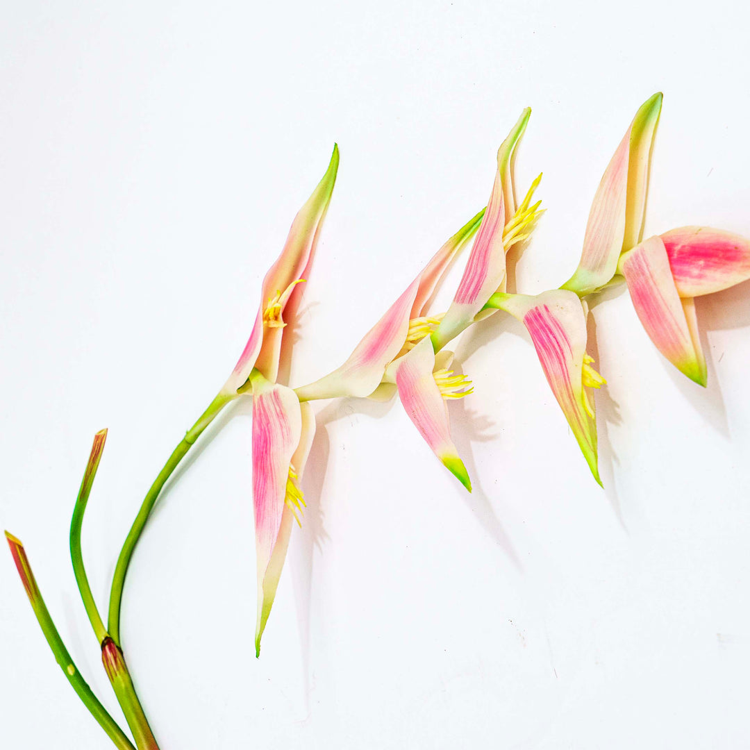 Tropical Heliconia Faux Stem