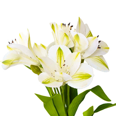 Faux Lily Stem White