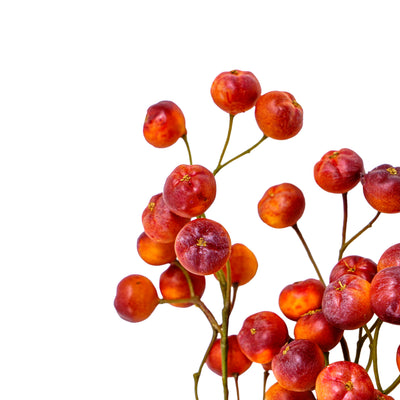 Faux Berry Stem Orange