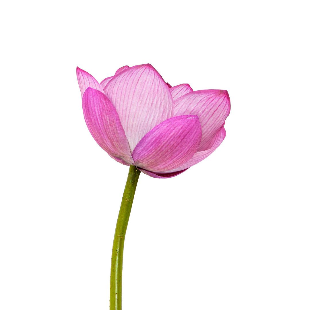 Pink Lotus Faux Stem