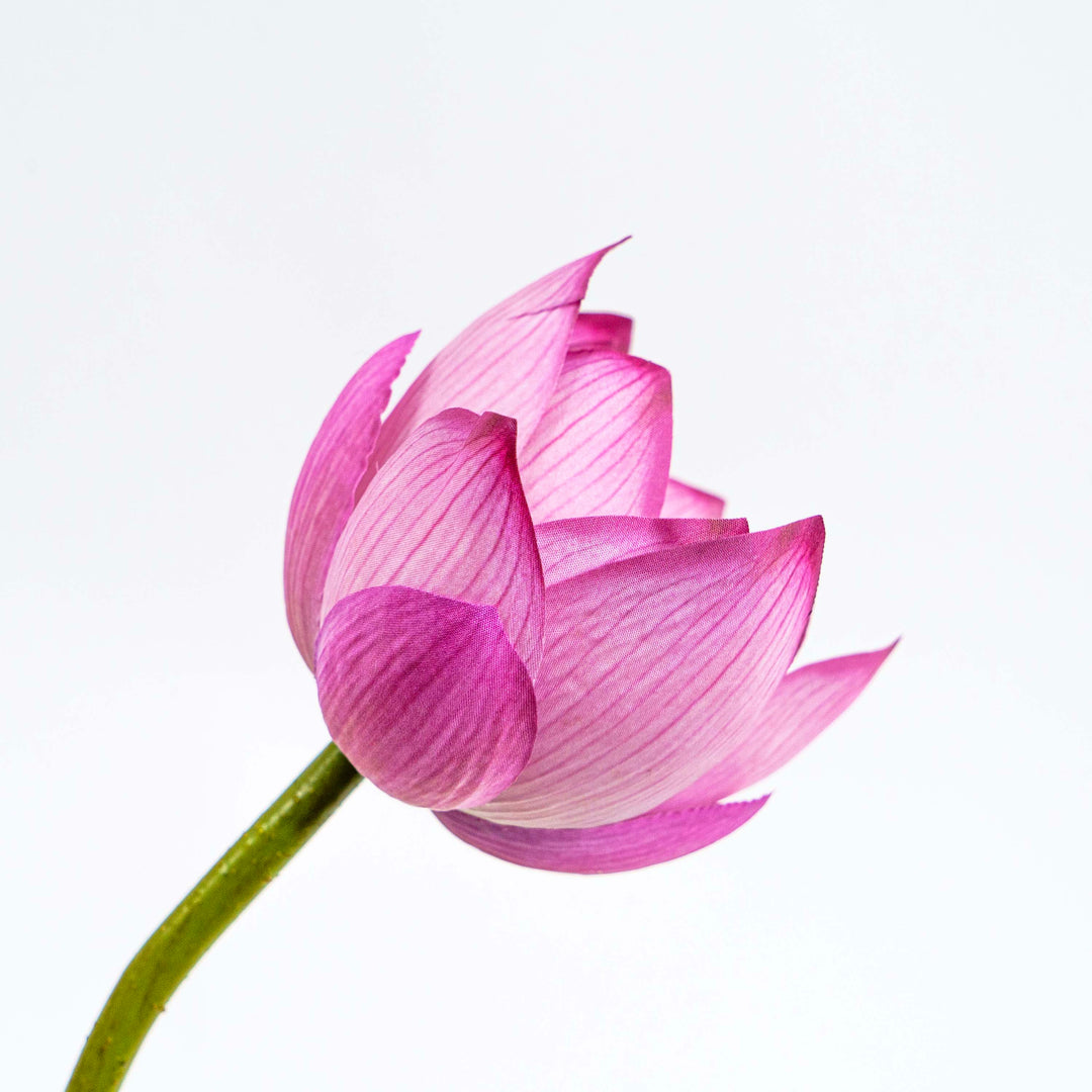 Pink Lotus Faux Stem