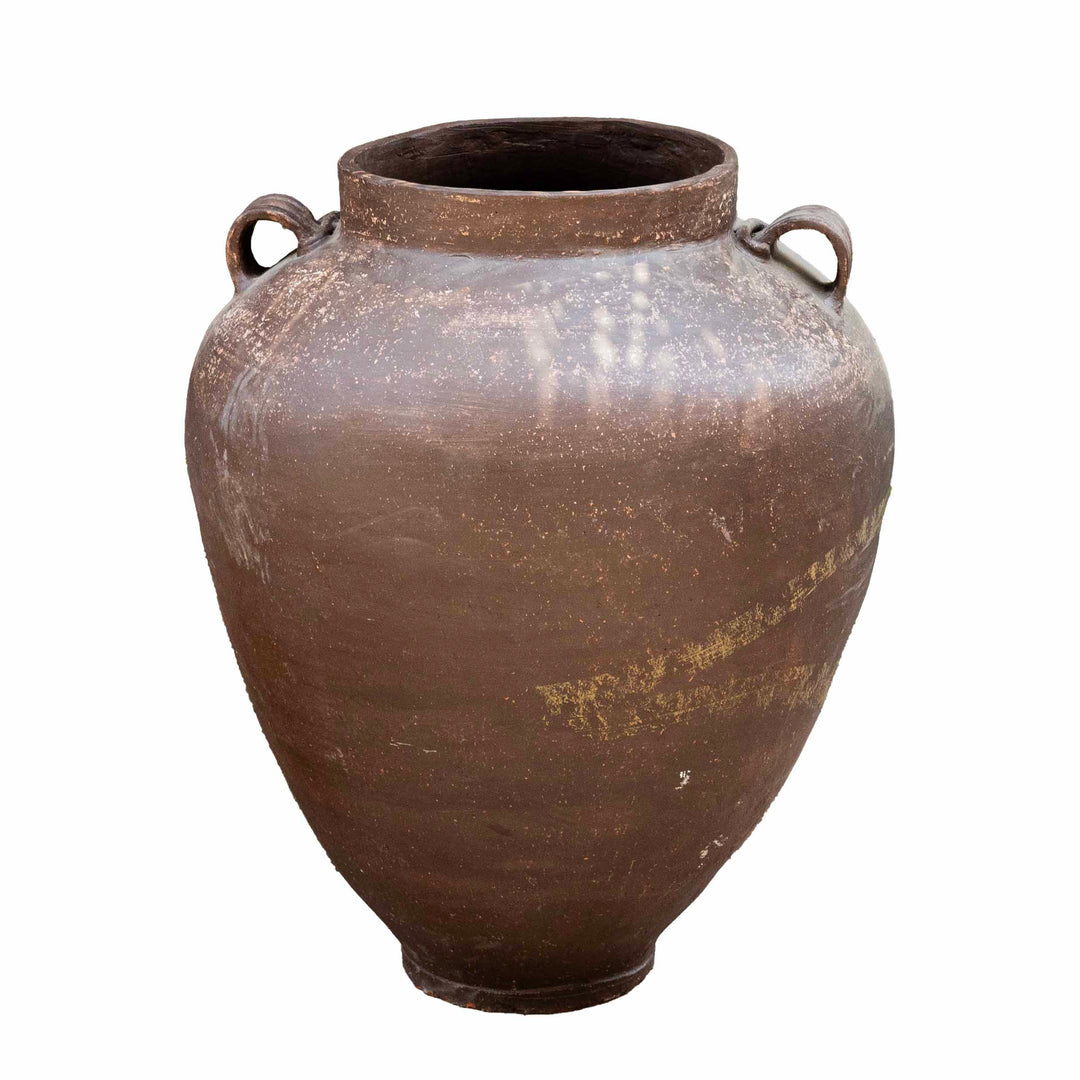 Tuber Terracotta Pot