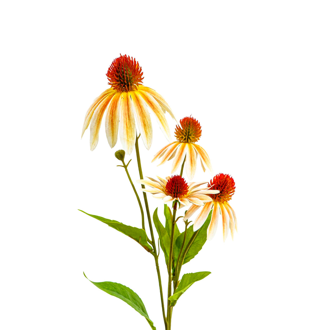 Faux Gerbera Stem White