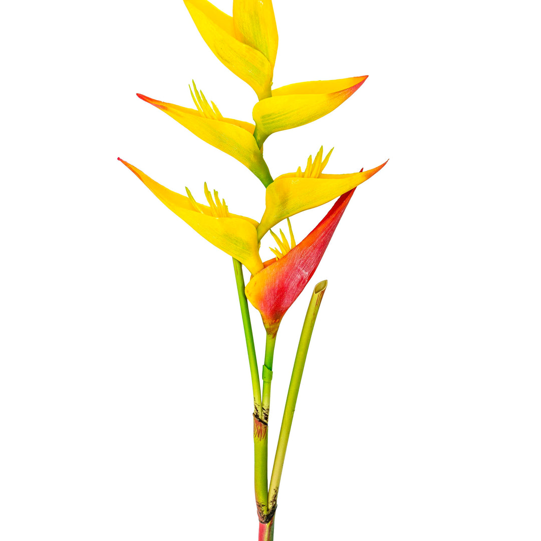 Yellow Heliconia Faux Stem