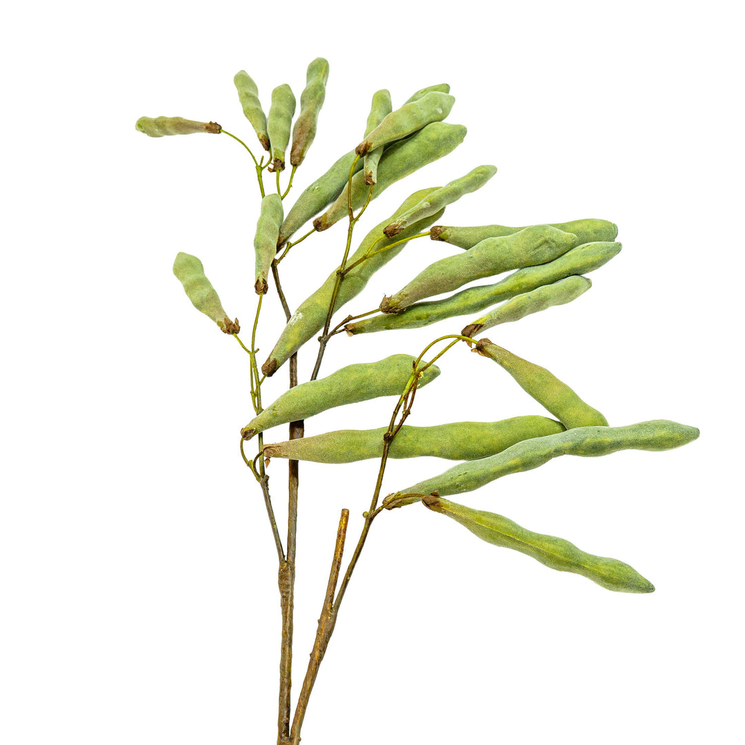Faux Velvet Sage Pod Stem