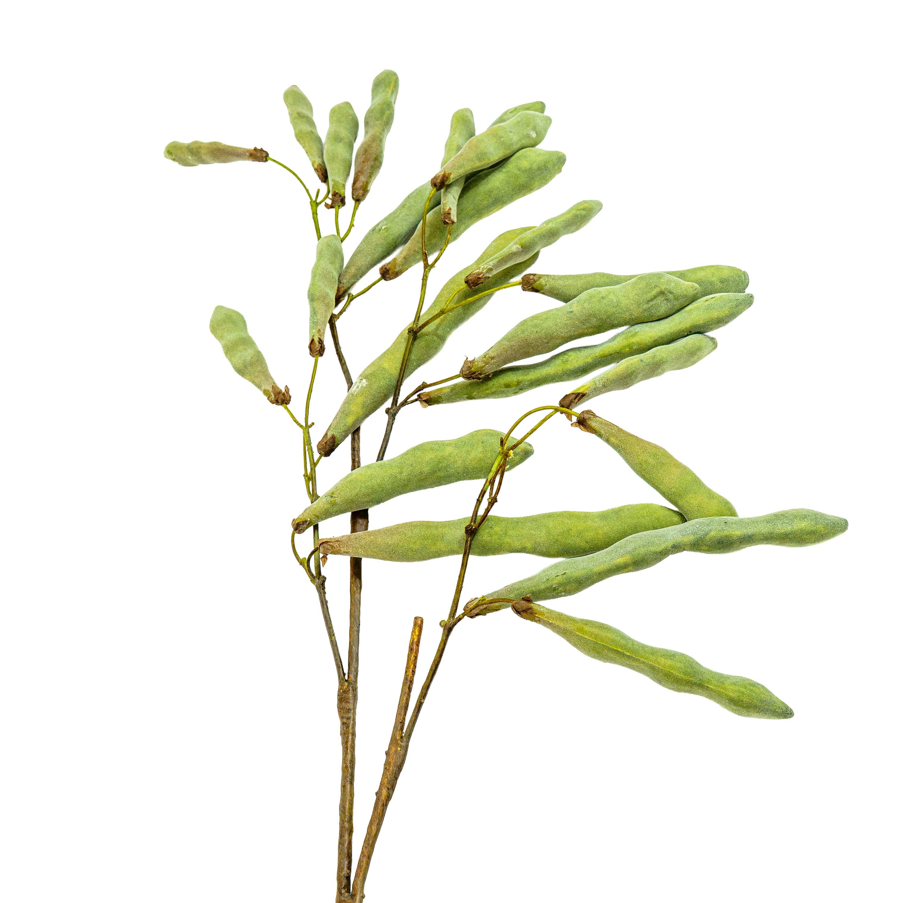 Faux Velvet Sage Pod Stem