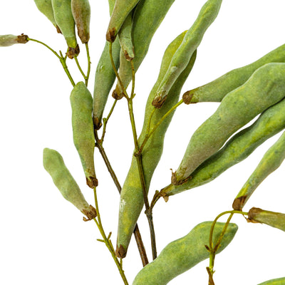Faux Velvet Sage Pod Stem