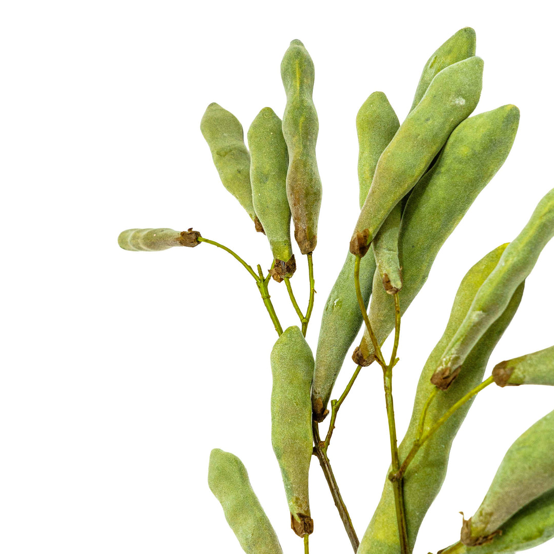 Faux Velvet Sage Pod Stem