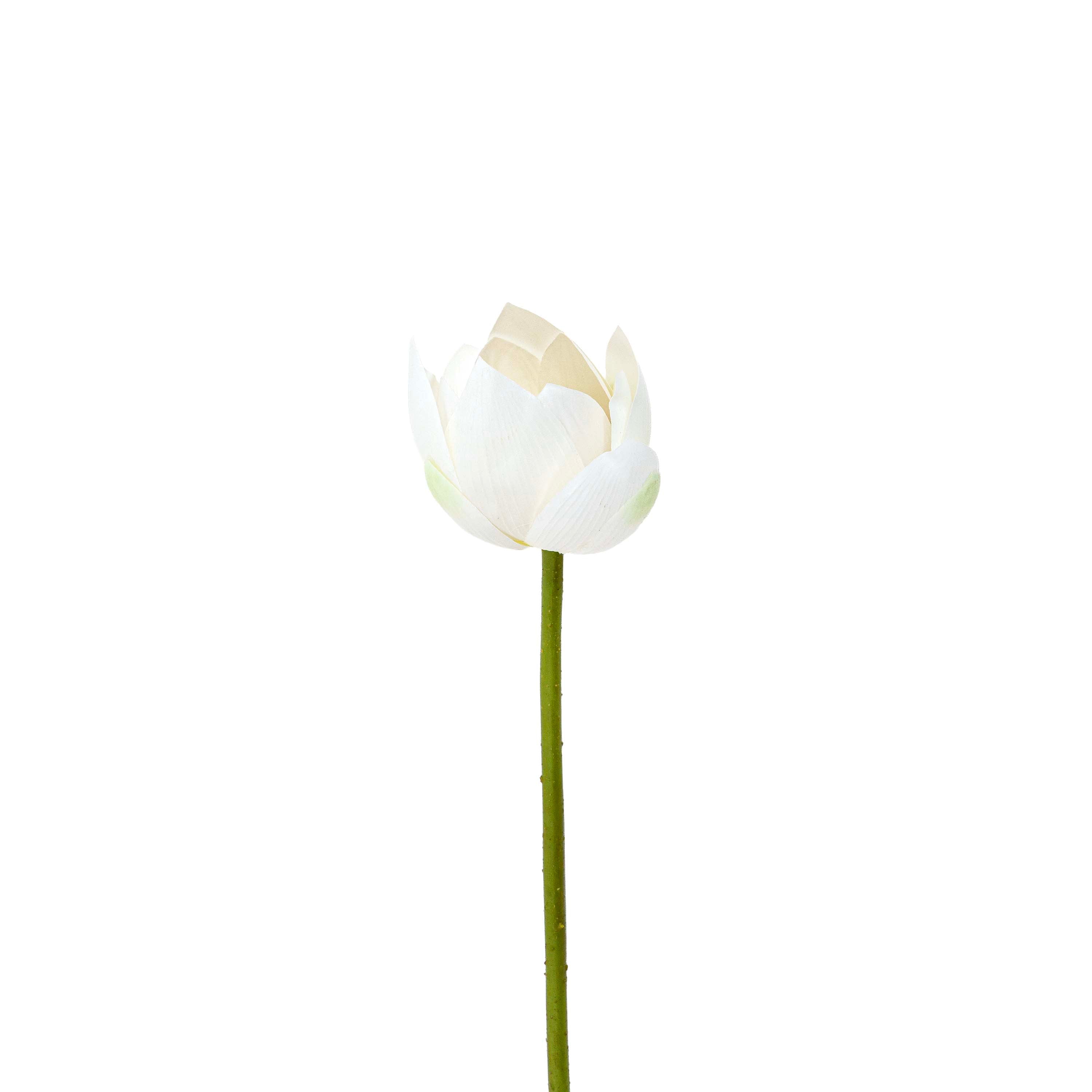 White Lotus Faux Stem