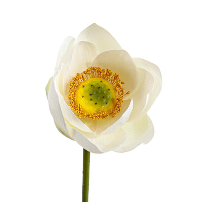 White Lotus Faux Stem
