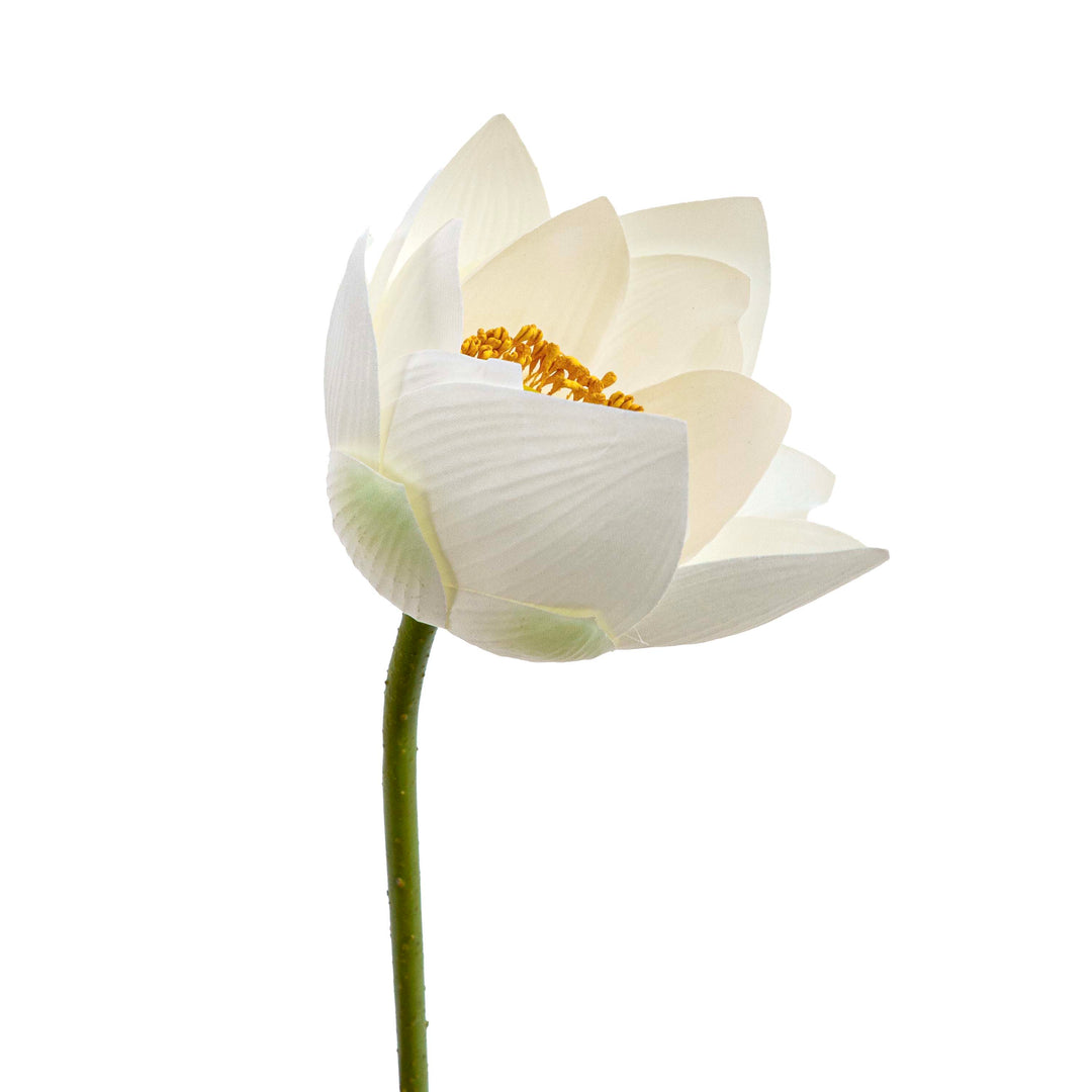 White Lotus Faux Stem