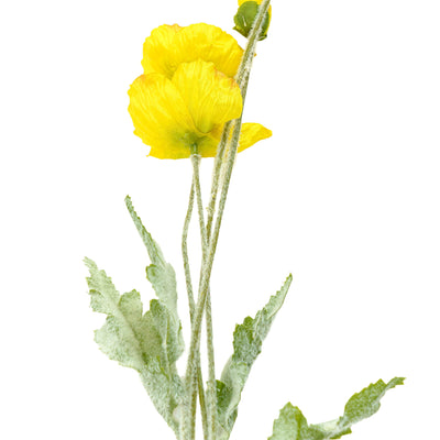 Poppy Silk Flowers with Stem Yellow