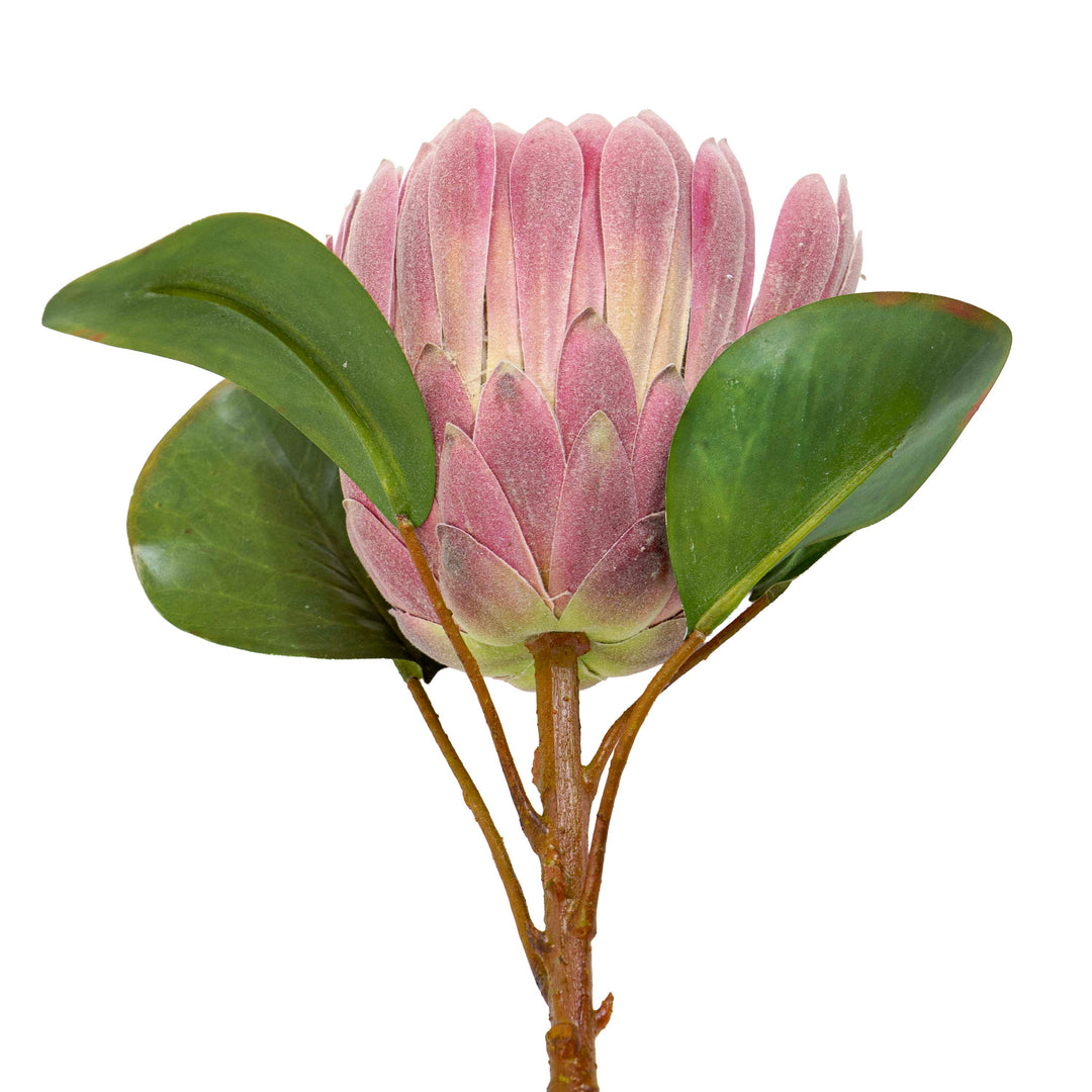Pink Protea Faux Stem