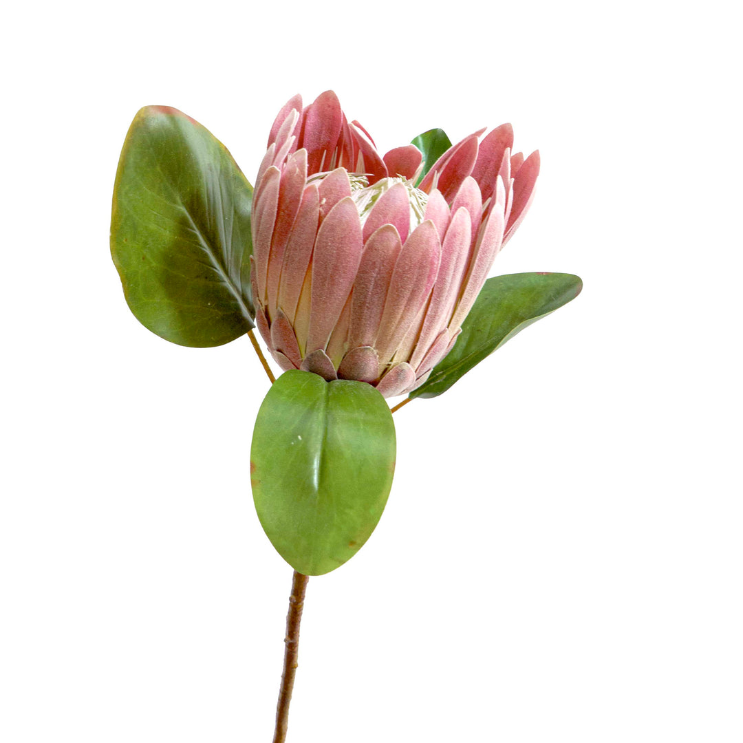 Pink Protea Faux Stem