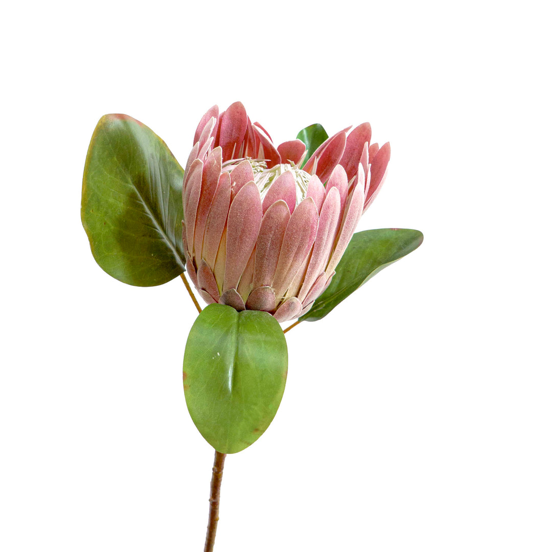 Pink Protea Faux Stem