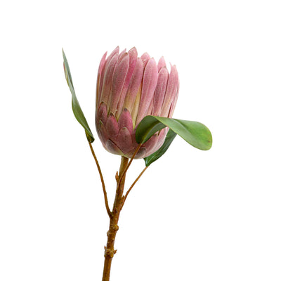 Pink Protea Faux Stem