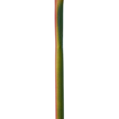 Purple Heliconia Faux Stem