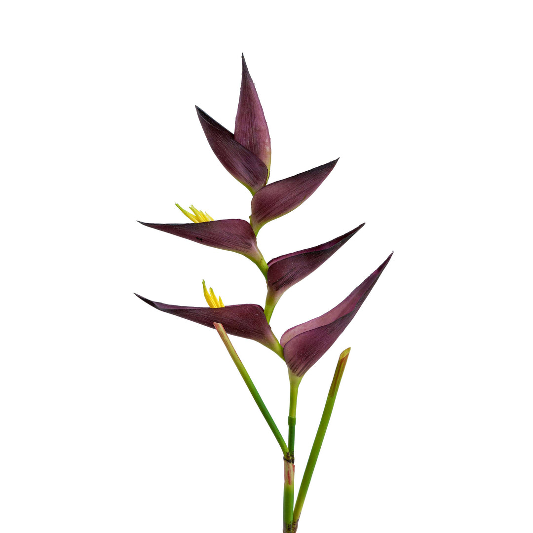 Purple Heliconia Faux Stem