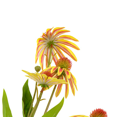 Faux Gerbera Stem Orange