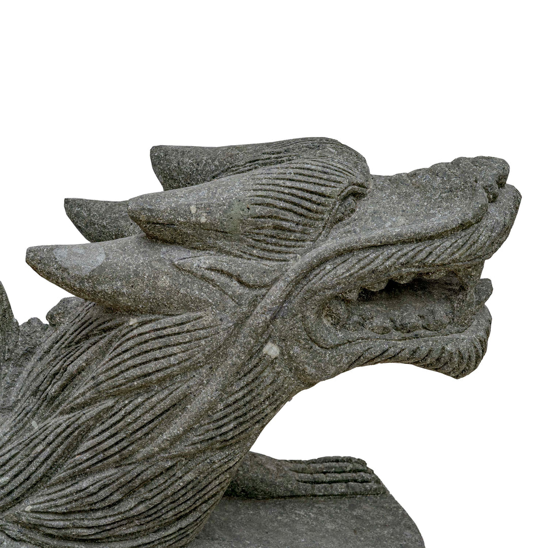 DRAGON FIGURATIVE