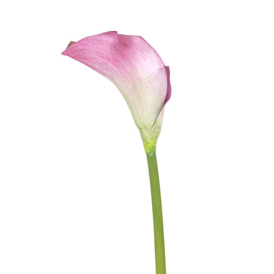 Faux Soft Pink Lily Stem