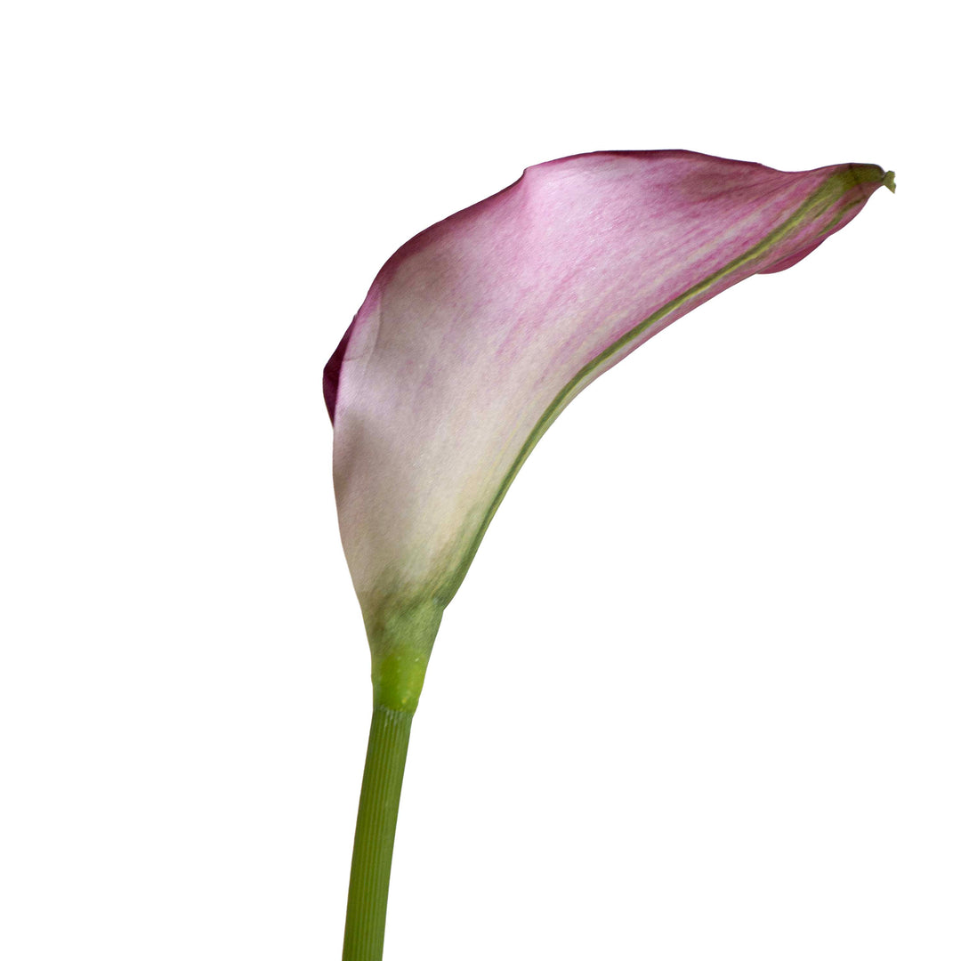 Faux Soft Pink Lily Stem