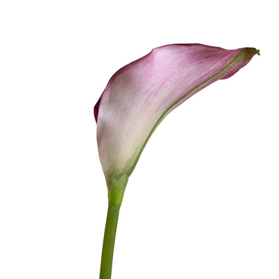 Faux Soft Pink Lily Stem