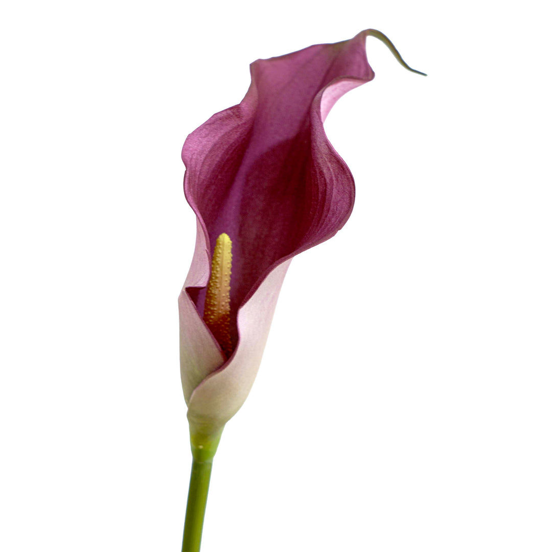 Faux Soft Pink Lily Stem