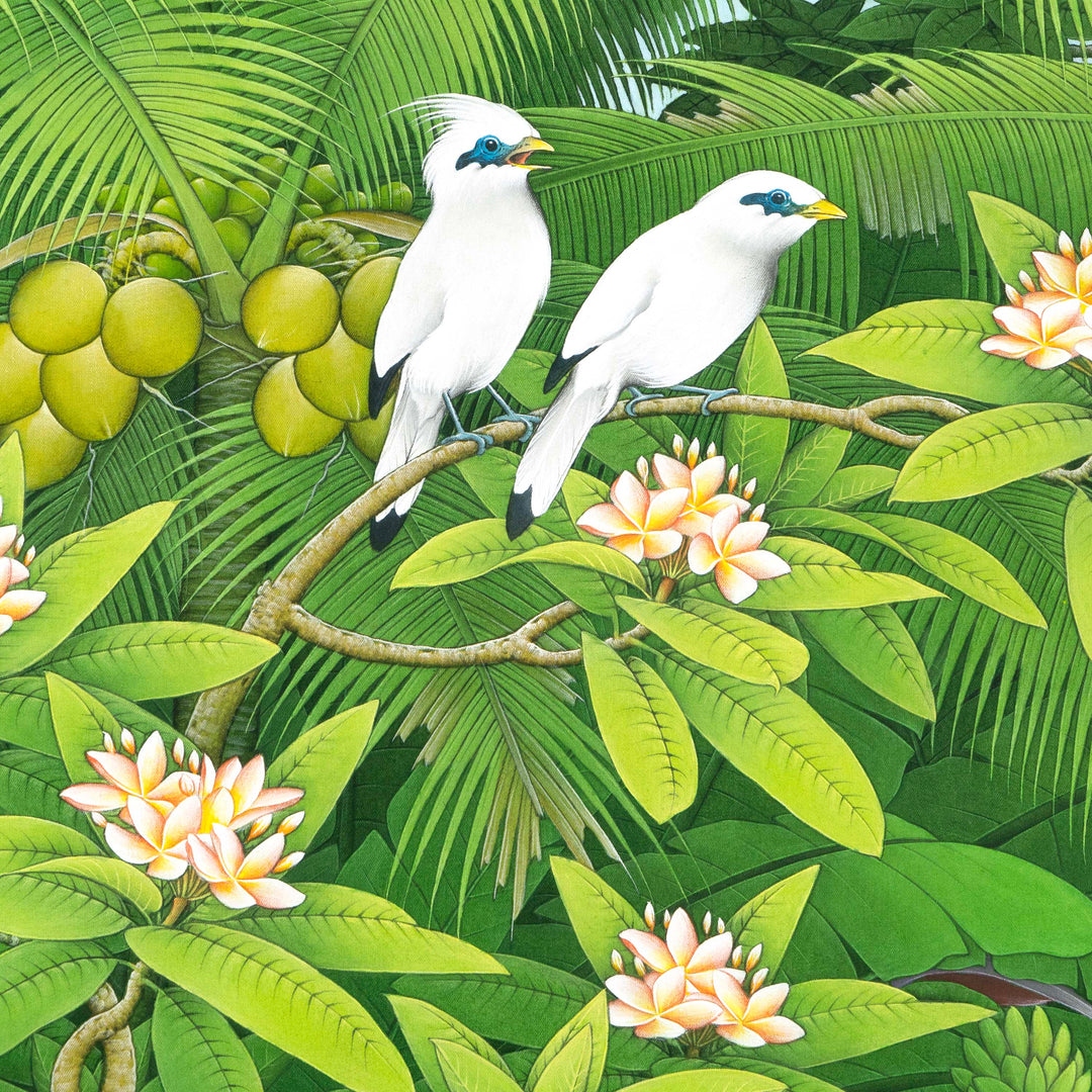 Starling White Bird Painting