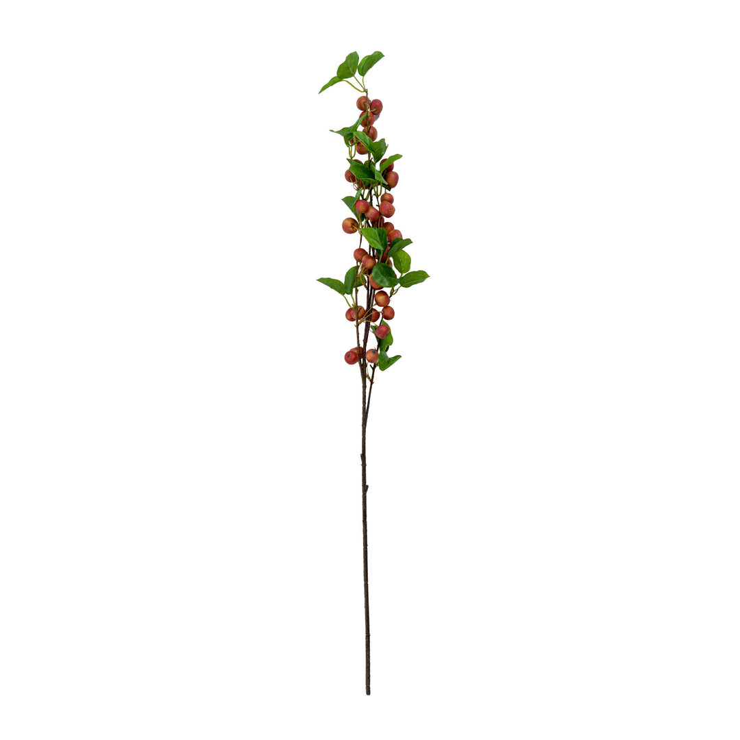 Faux Berry Apple Plant