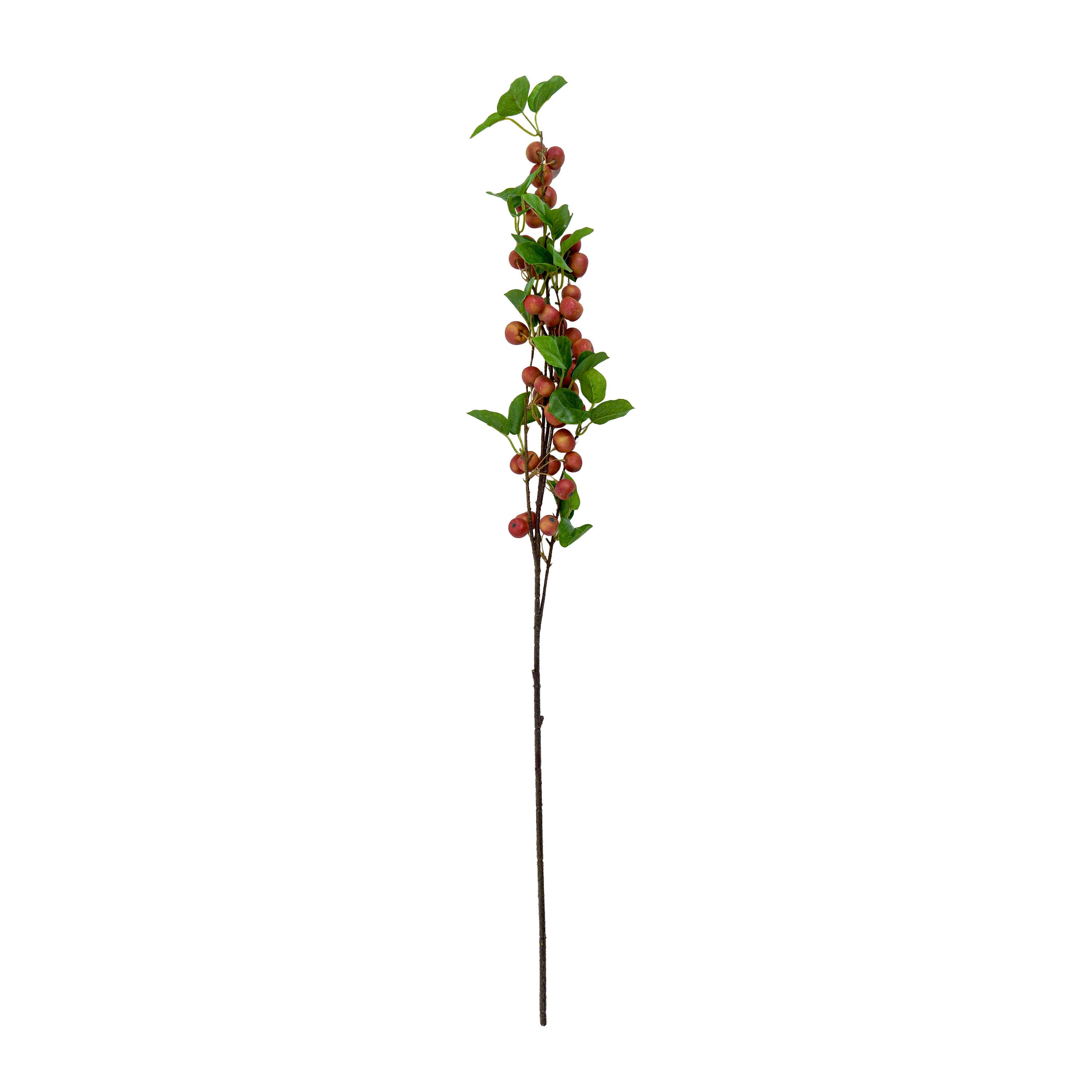 Faux Berry Apple Plant
