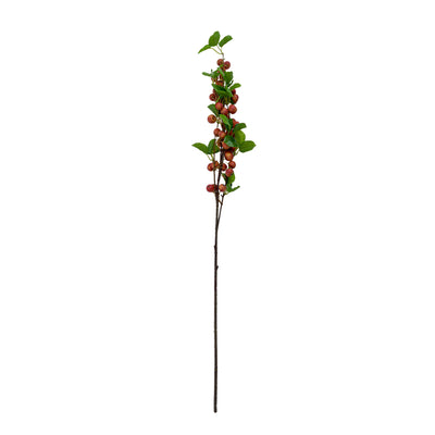 Faux Berry Apple Plant