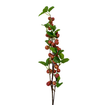 Faux Berry Apple Plant