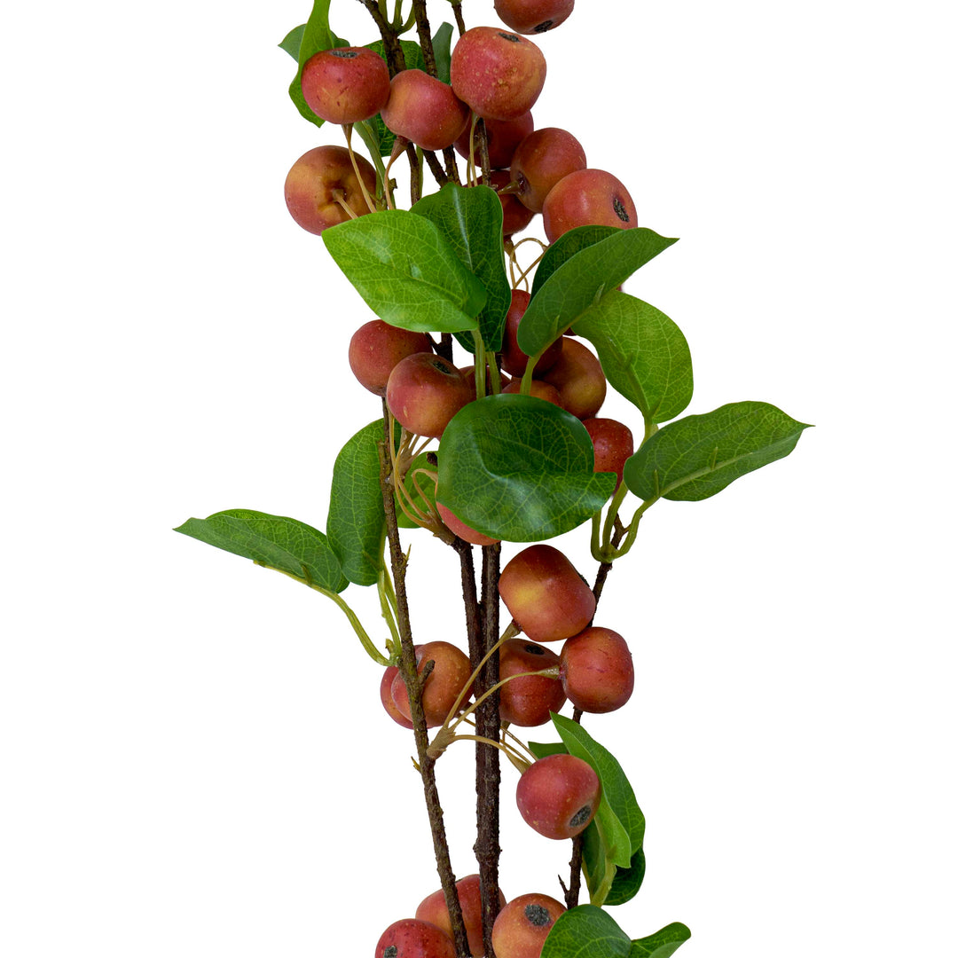 Faux Berry Apple Plant