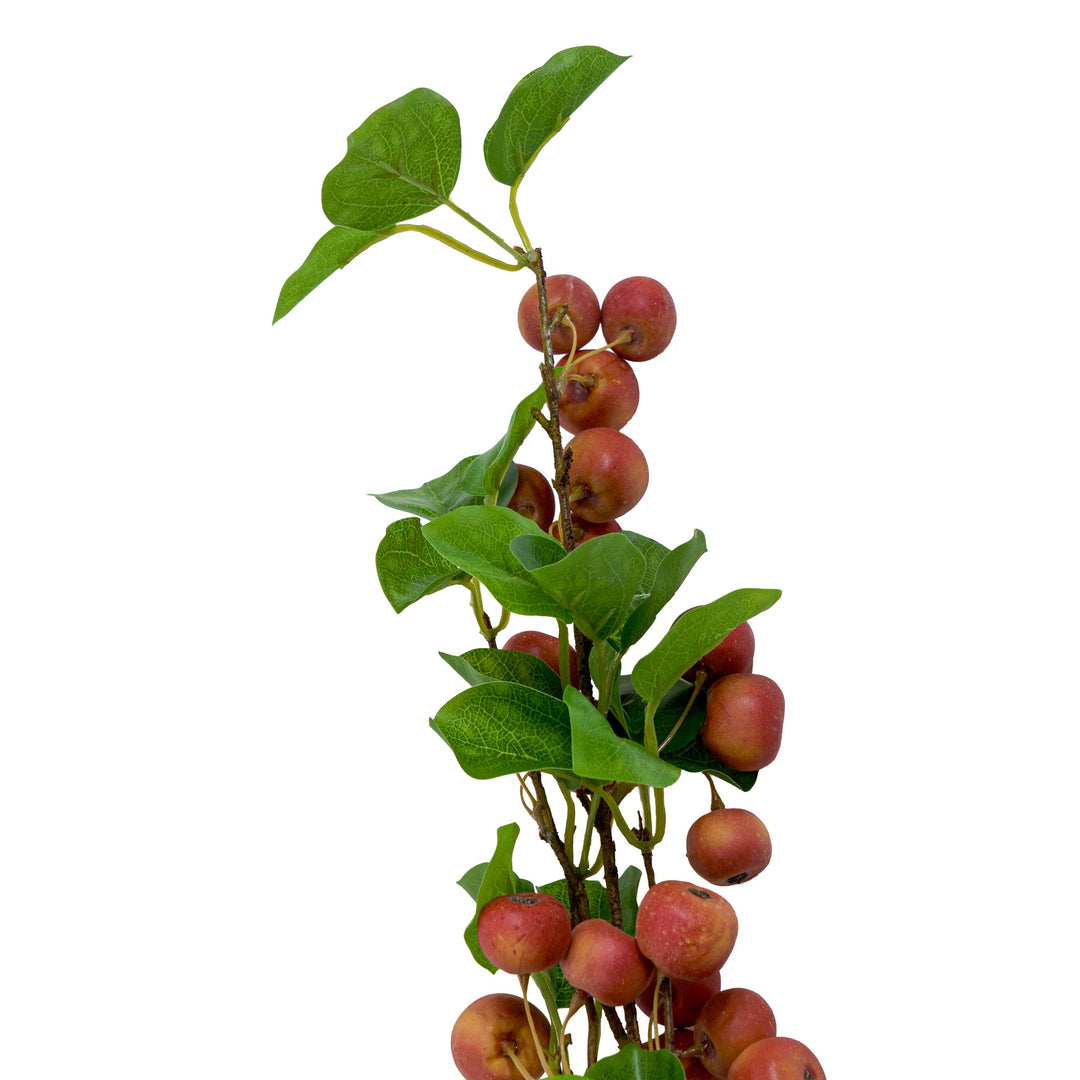 Faux Berry Apple Plant