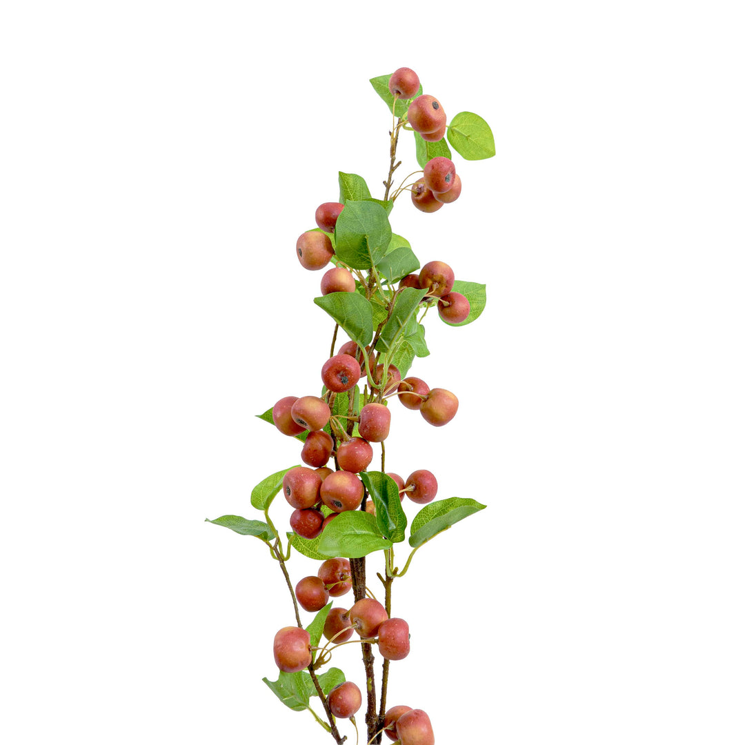 Faux Berry Apple Plant