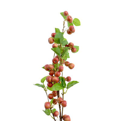 Faux Berry Apple Plant