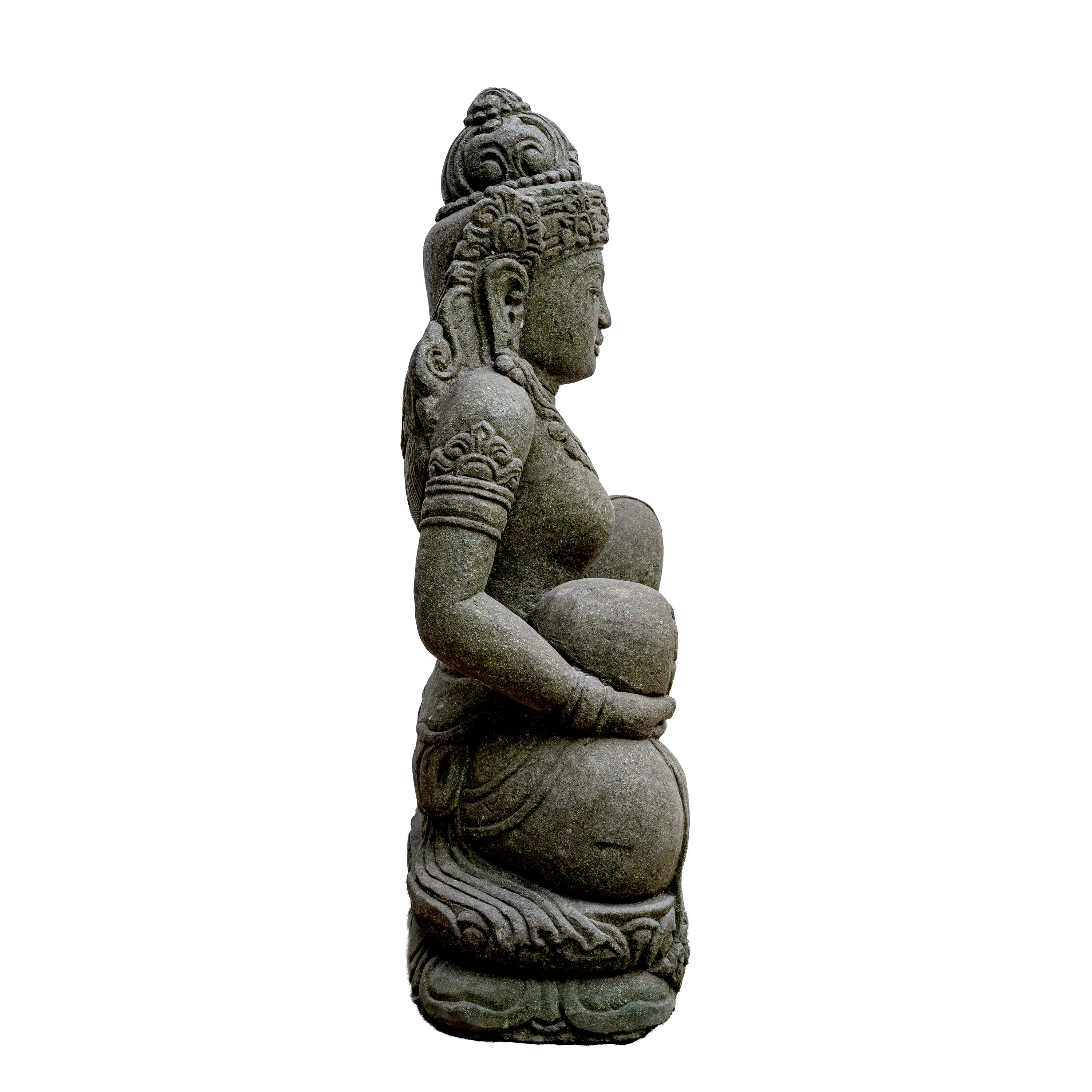 DEVI BHUMI