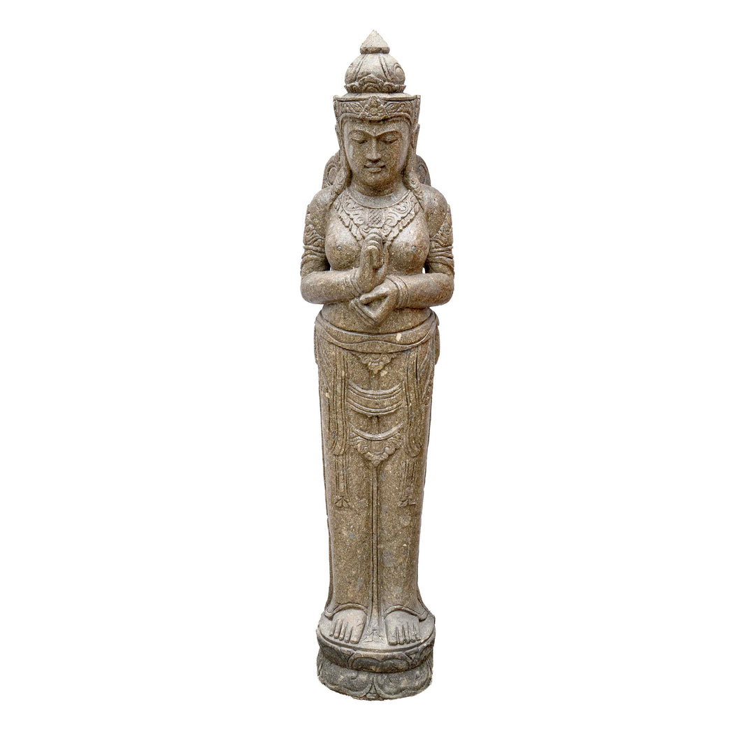 TARA LAMA