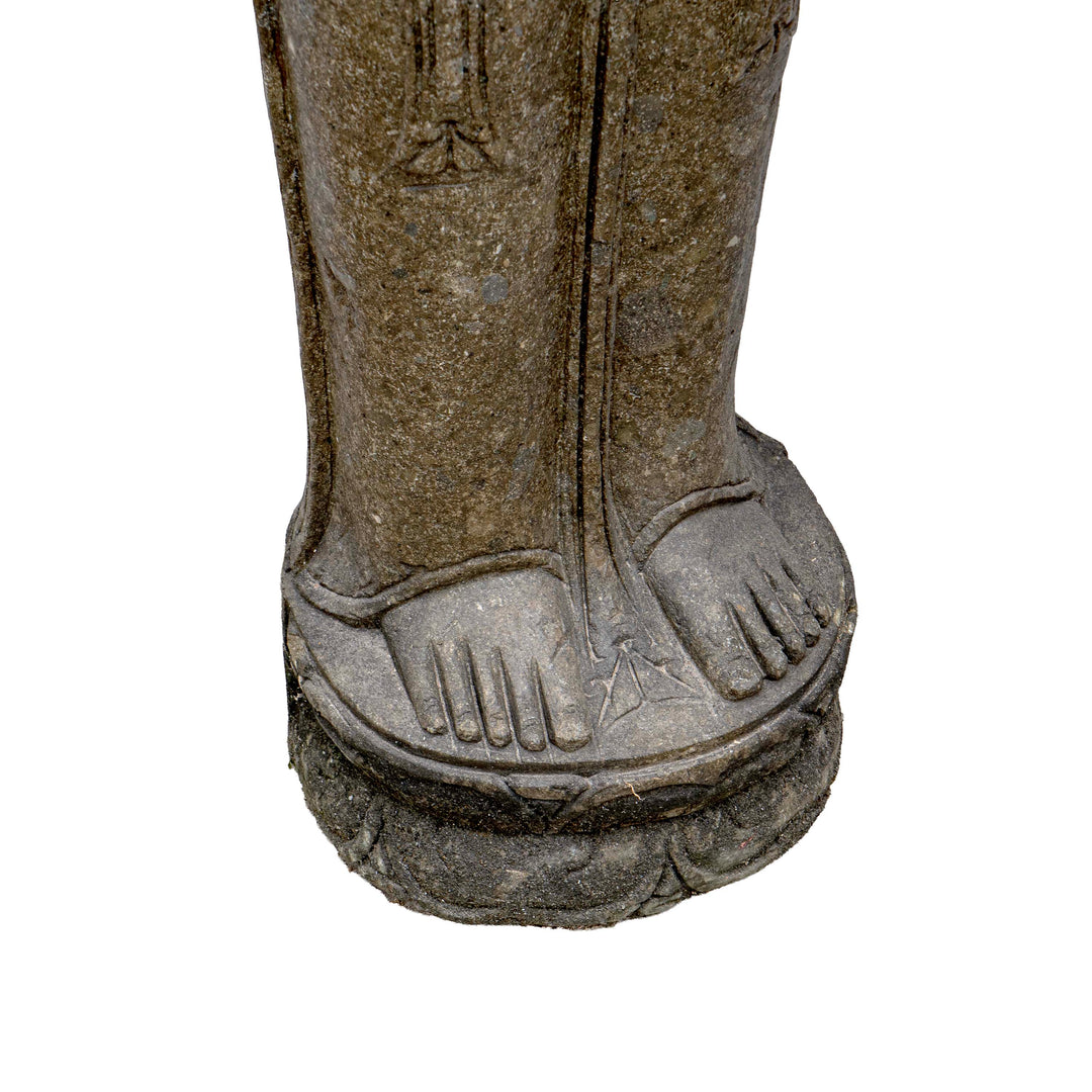 TARA LAMA