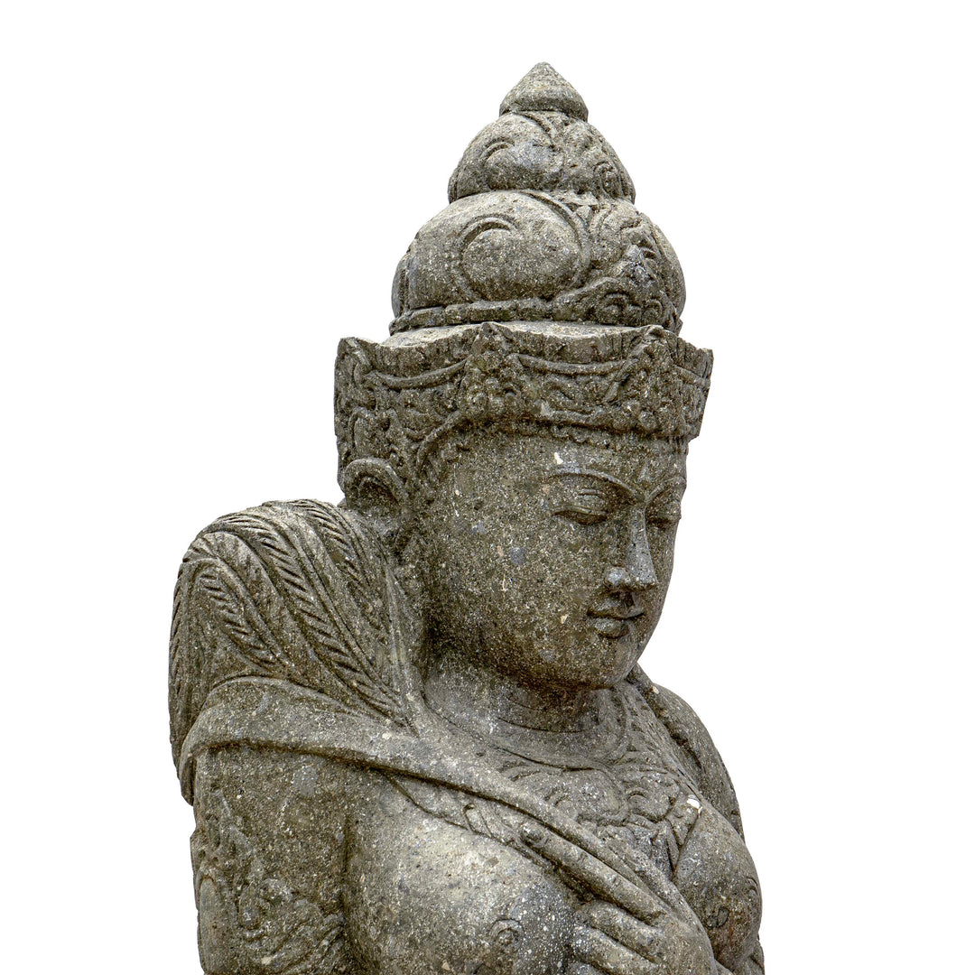 TARA RAYAN