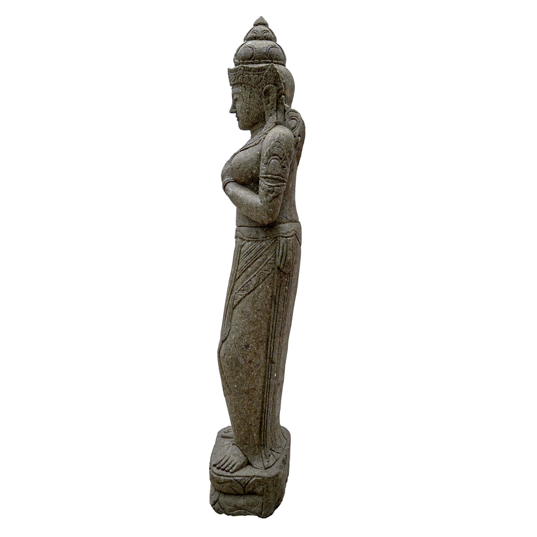 TARA RAYAN