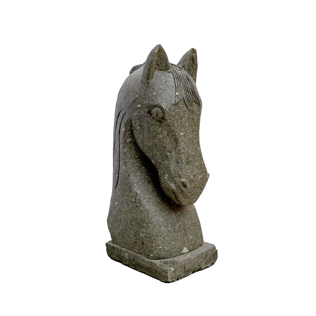 HORSE SOMA